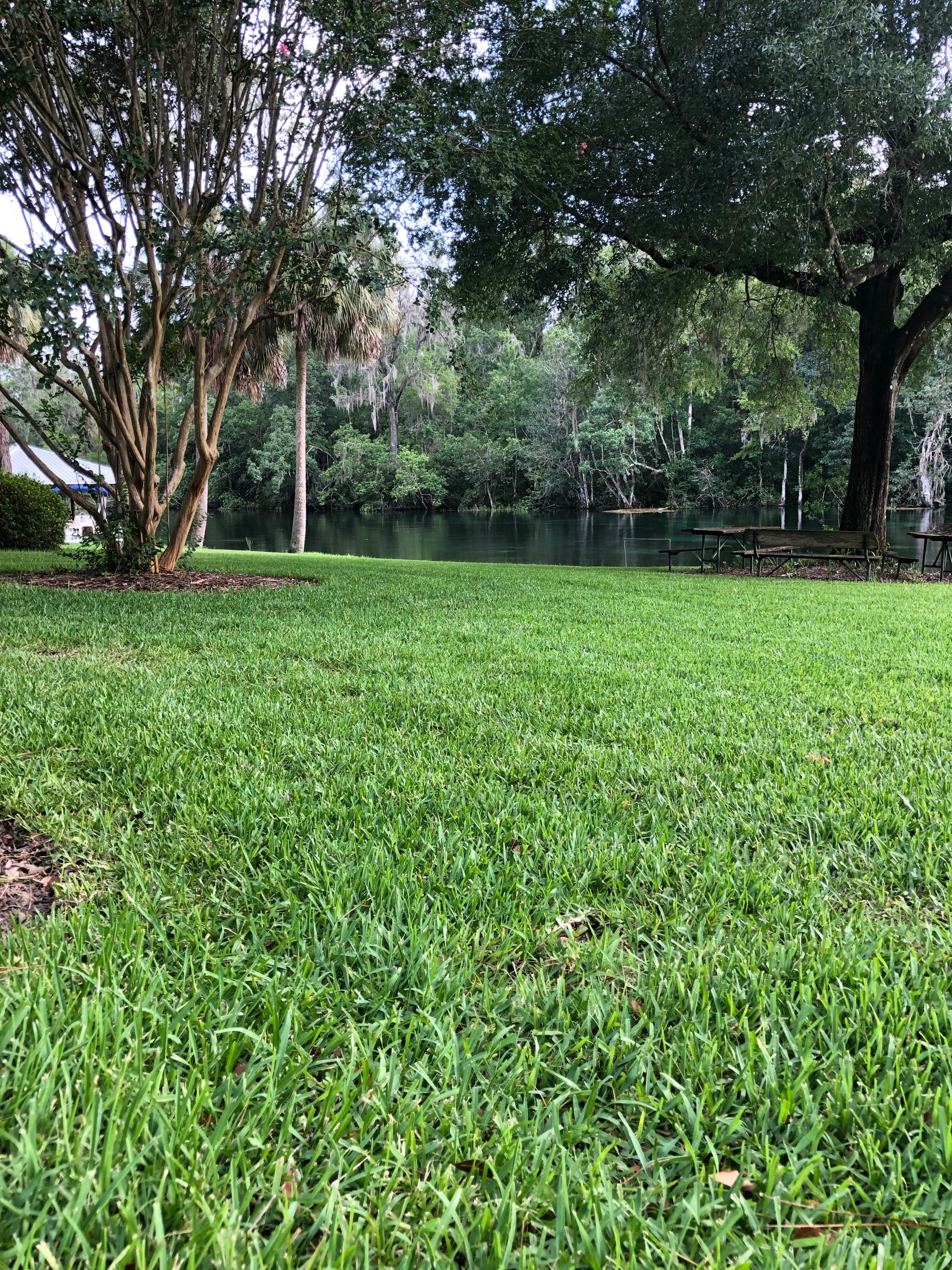 Riverside property with wide green lawn, mature trees, and picnic tables at the waterfront
