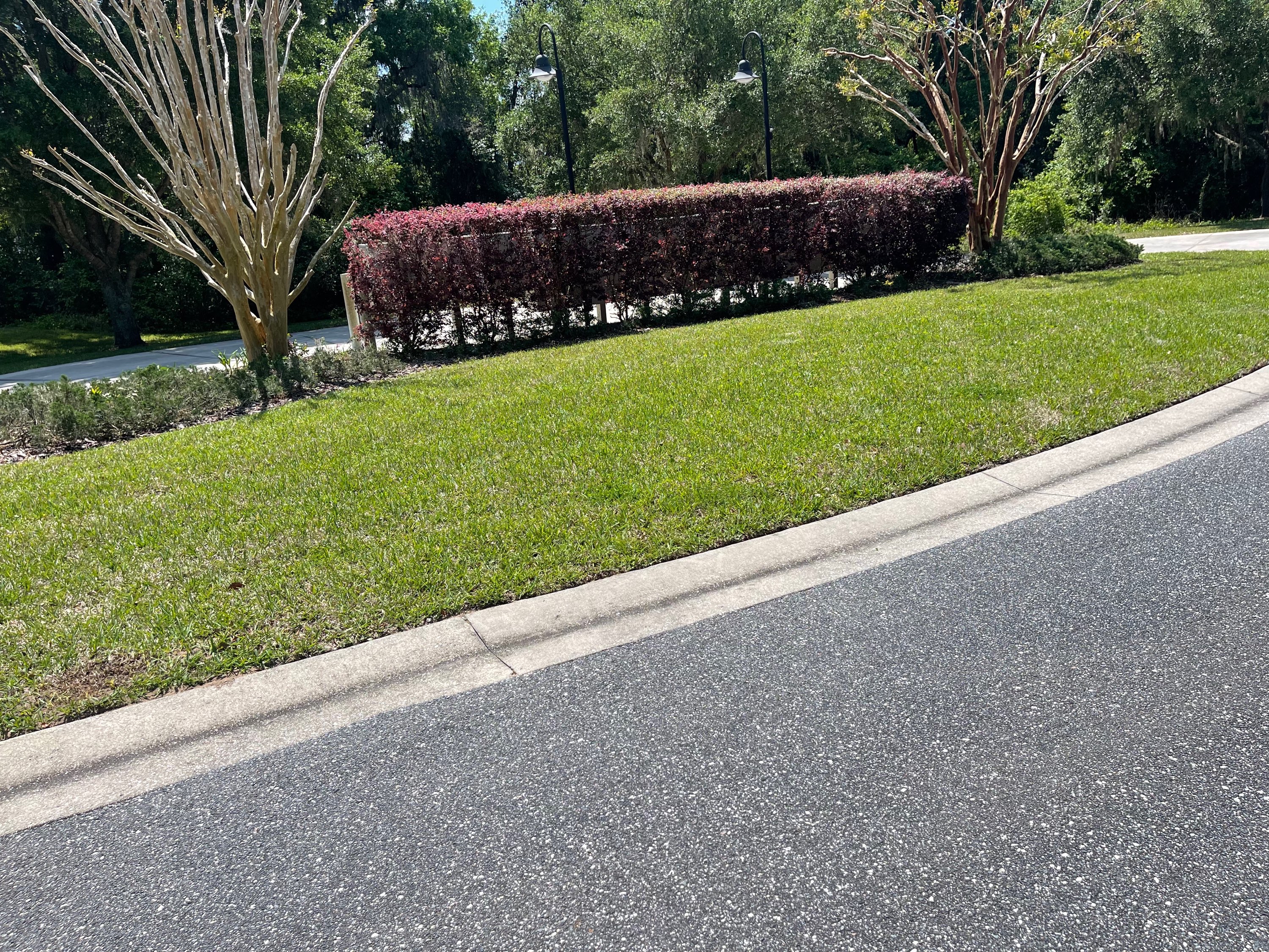 Beautifully edged curved road with red-leafed hedge and clean green lawn
