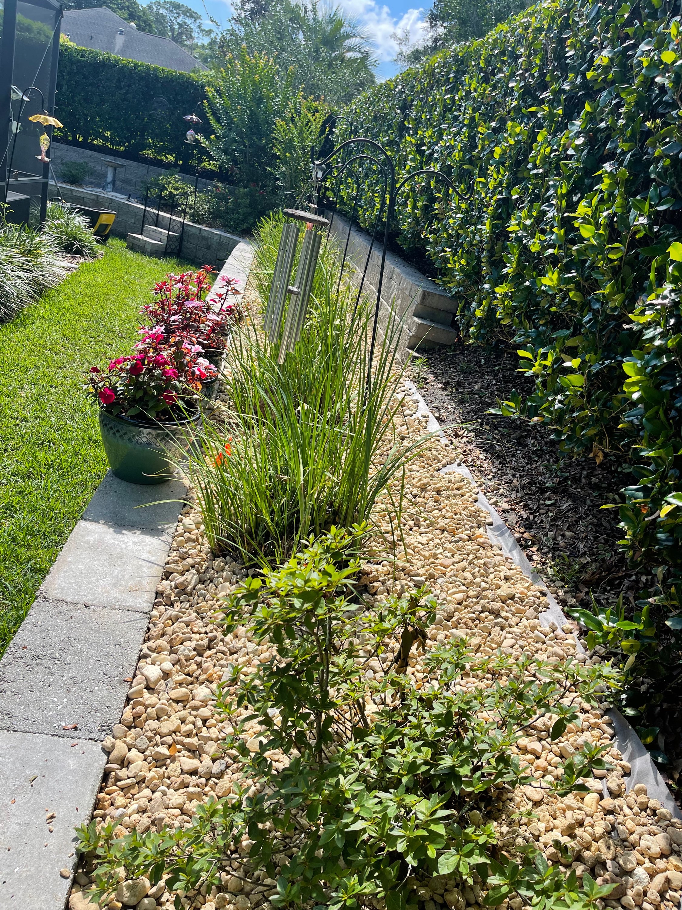 Backyard river rock garden bed with ornamental grass, impatiens, and tall privacy hedge