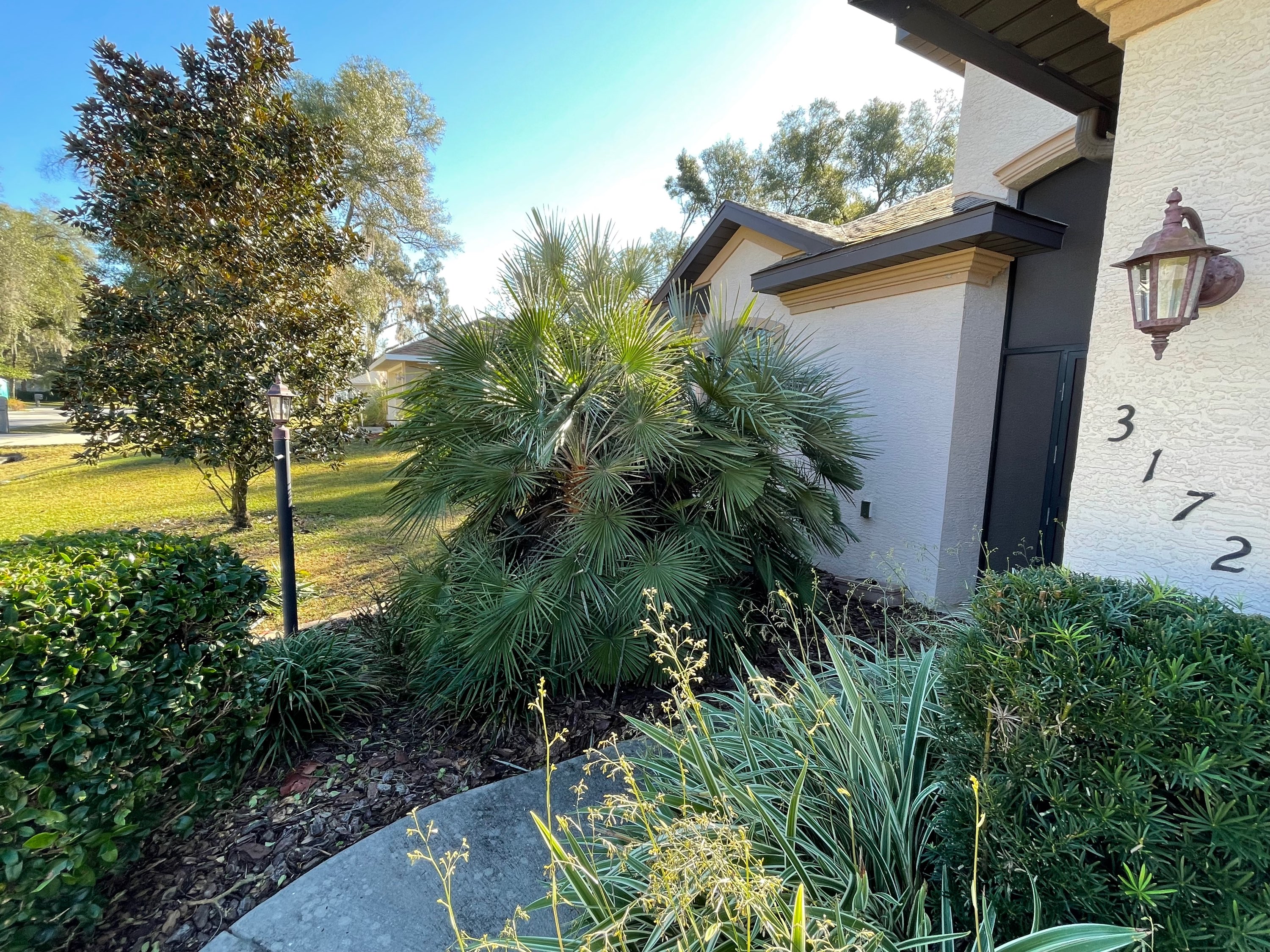 Elegant front entry of stucco home with fan palm, manicured shrubs, and path lighting