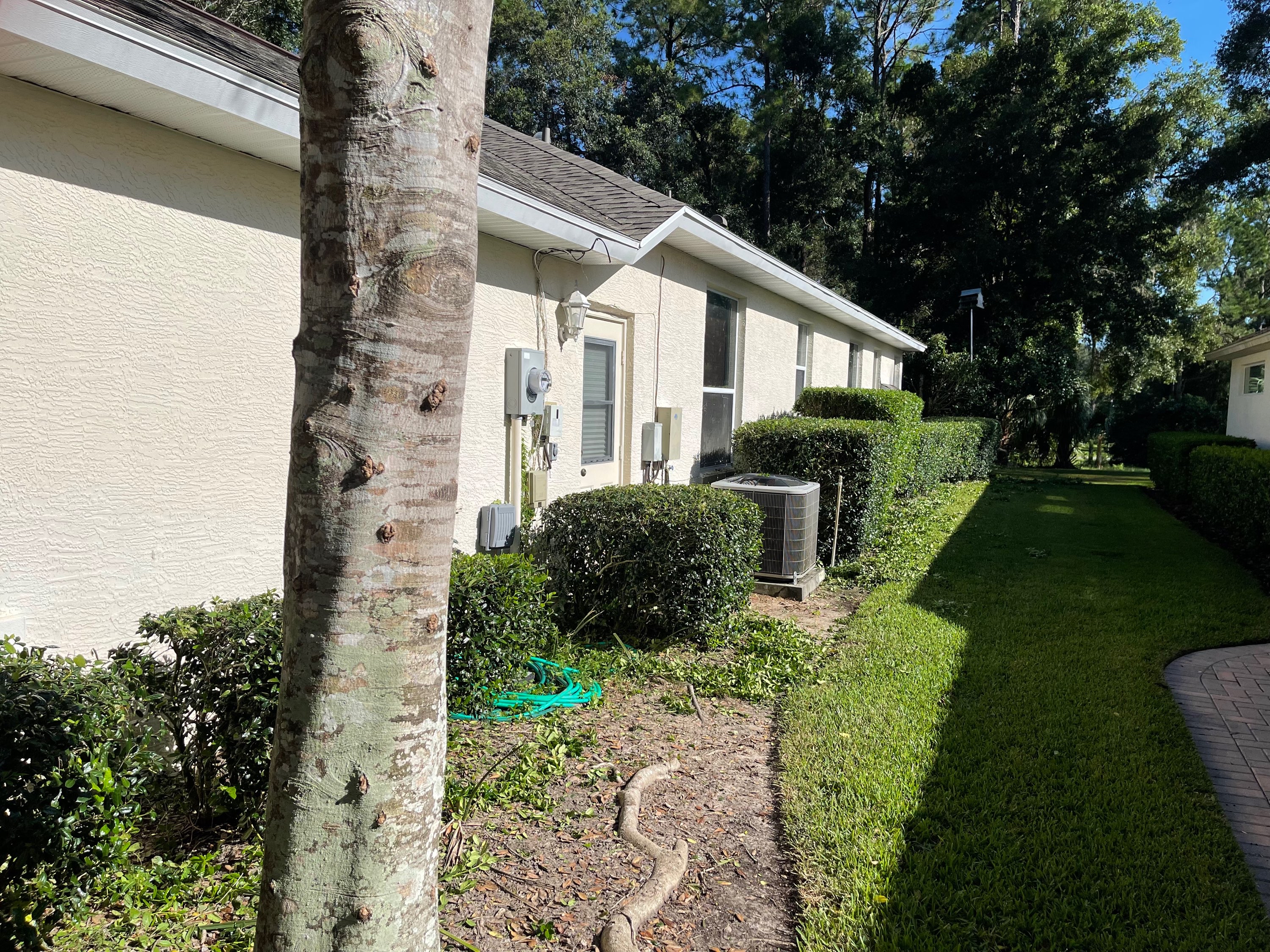 Side of stucco building with neatly trimmed round shrubs along a clean green lawn
