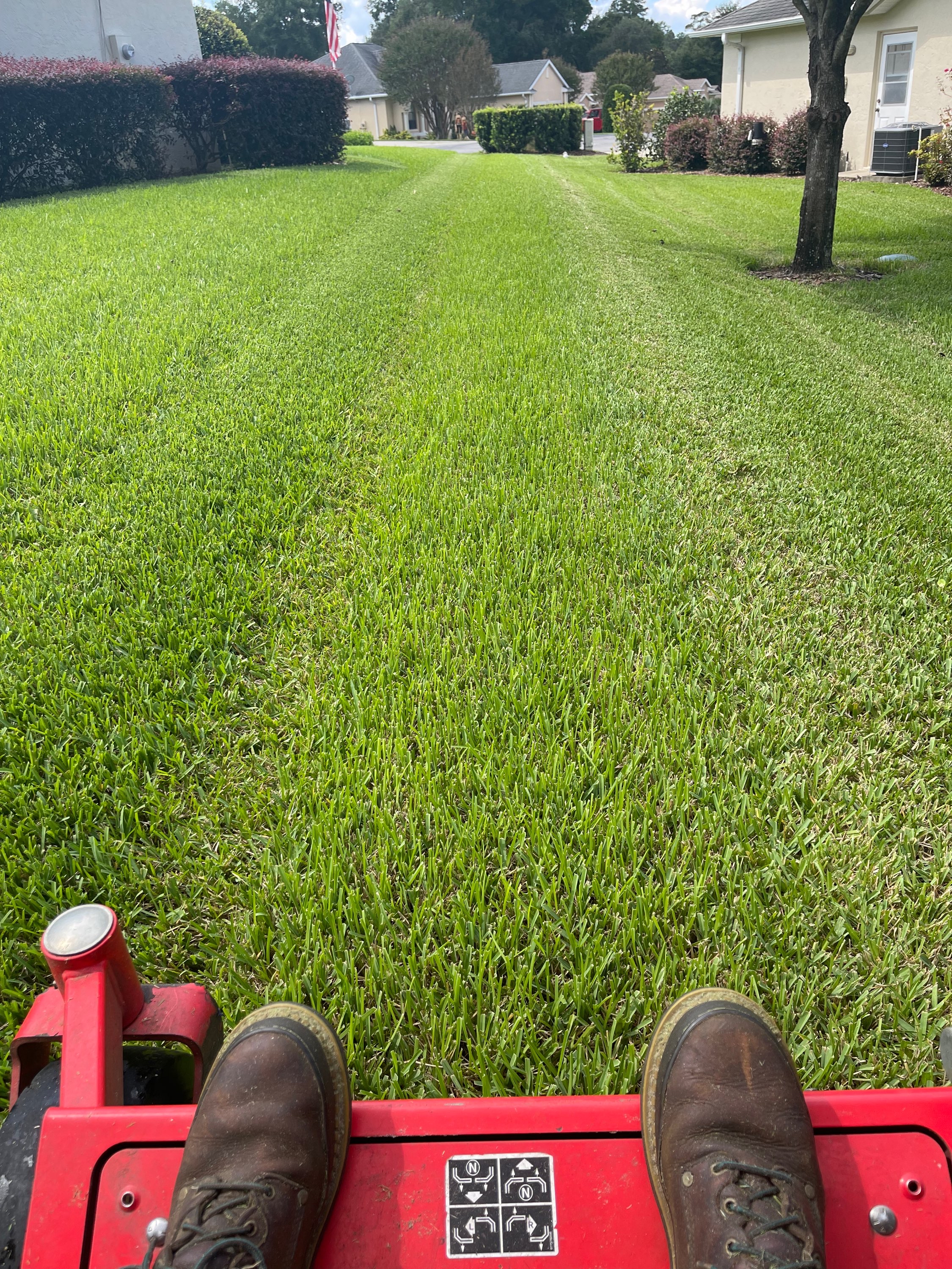 Zero-turn mower creating perfect stripes on a green lawn