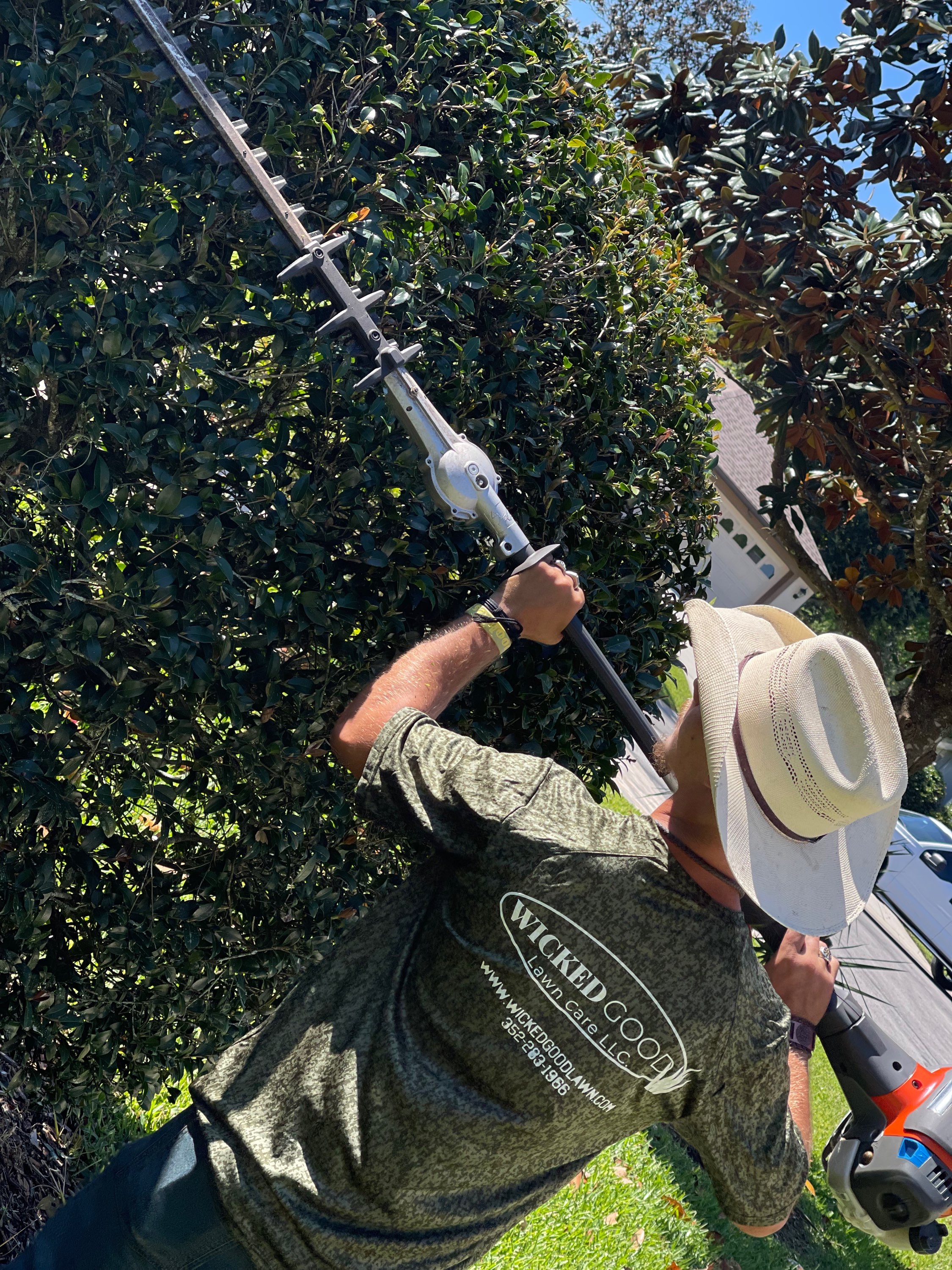 Crew member in branded WGLC shirt using pole hedge trimmer on large shrub
